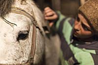 Turkey / Lake ‚хldхr / 2015 / Love of Horses on th