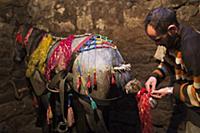 Turkey / Lake ‚хldхr / 2015 / Love of Horses on th
