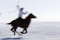 Turkey / Lake ‚хldхr / 2015 / Love of Horses on th