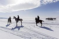 Turkey / Lake ‚хldхr / 2015 / Love of Horses on th