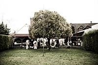 Hungary / Mohacs / 2014 / Busojaras / Busos gettin