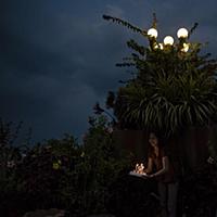 Cambodia / Phnom Penh / 2015 / Little Stories Of P