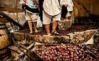 Italy / Apulia / Monopoli / 2015 / Live Cribs / Sc