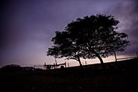 Israel / Negev Desert / Mizpe Ramon / 2014 / Alpac