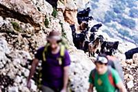 Israel / 2014 / Climbing in Israel / Climbing area