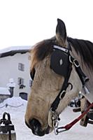 France / Haute-Savoie / Mont Blanc / February 2015