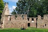 GERMANY / Saxony / Nimbschen / The romantic ruin o