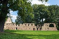 GERMANY / Saxony / Nimbschen / The romantic ruin o