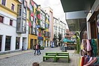 GERMANY / Saxony / Zwickau / Colourful designed ho