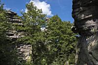 GERMANY / Saxony / Ore Mountains / The Greifenstei