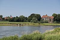 GERMANY / North Rhine-Westphalia / Petershagen / T