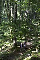 France / Montagne Noire / 2015 / Emma / '€ la pris