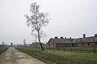 POLAND / Oswiecim / 06.12.2014 / Auschwitz-Birkena
