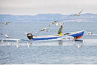 ITALY ( Italien , Italia ) / Veneto ( Venezien ) /