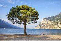 ITALY ( Italien , Italia ) / Trentino / Lake Garda