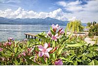 ITALY ( Italien , Italia ) / Veneto ( Venezien ) /