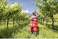 ITALY ( Italien , Italia ) / Trentino / Calavino /