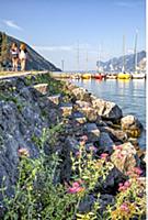 ITALY ( Italien , Italia ) / Trentino / Lake Garda