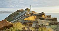Castle Point Lighthouse, Sandstone, Wellington, No