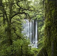 Korokoro Falls, Te Urewera National Park, Hawke