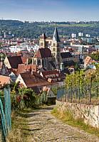 Vineyards, cathedral and old town of Esslingen, Ba
