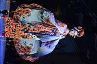 В рамках «Estet Fashion Week-2014» прошел показ ко