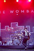 The Wombats. Музыкальный фестиваль Ahmad Tea в пар