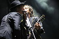 Карл Барат и Пит Доэрти, The Livertines. Музыкальн
