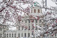 Дом Пашкова. Москва, Россия. 2015 год.