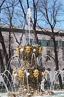 Виды Санкт-Петербурга. Летний сад. 15 мая 2017.